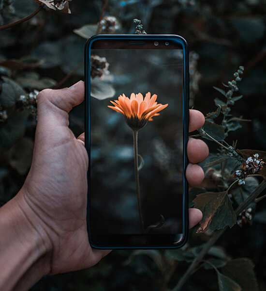 石家庄代妈生物技术研发